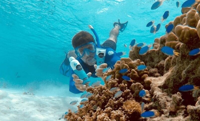 Read more about the article How Do Reef-Safe Sunscreens Protect Marine Life?