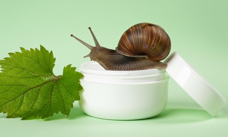 Read more about the article Is Snail Mucin Really Worth the Hype?